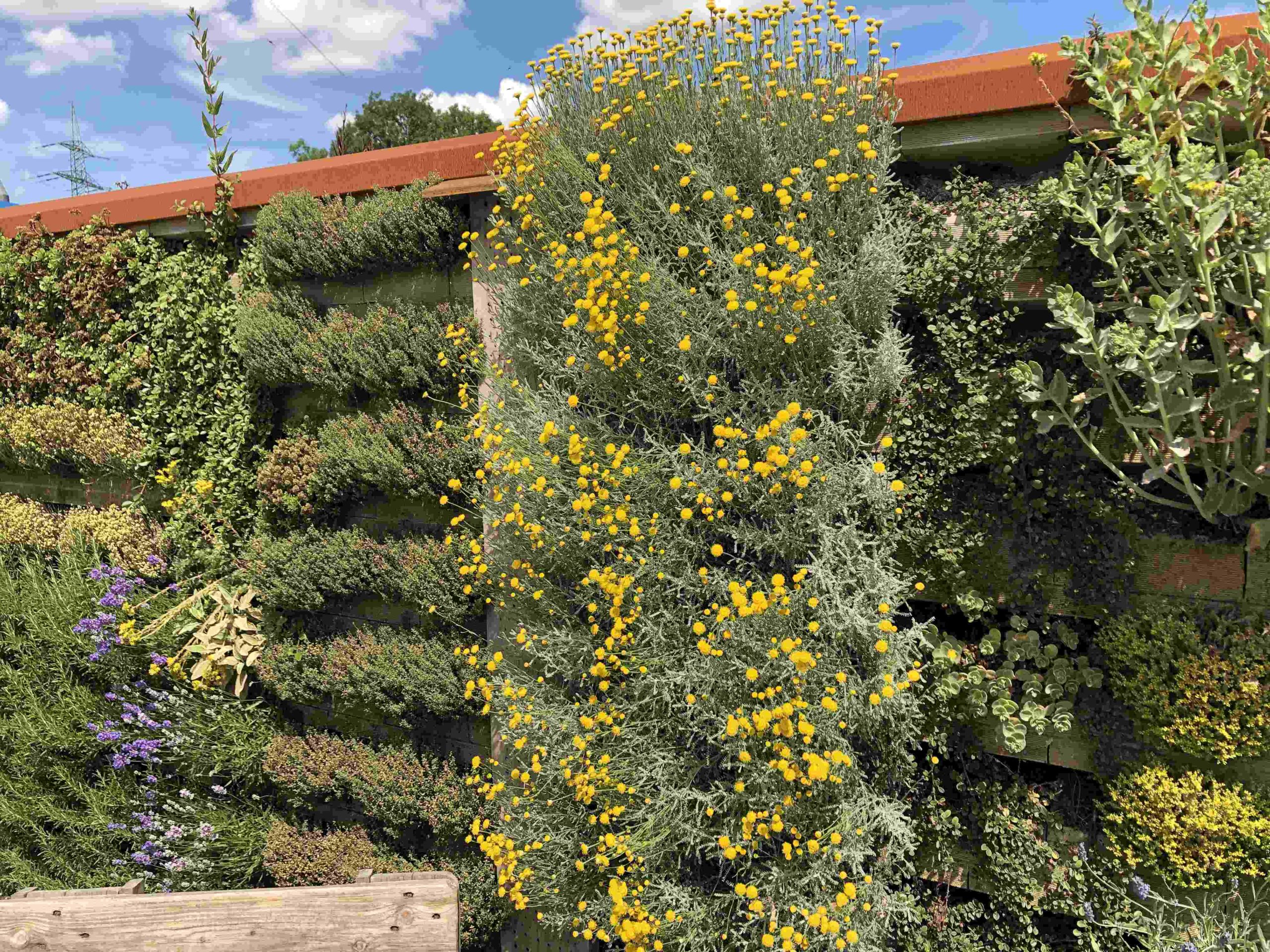 Fornatec® Green GmbH for nature technology