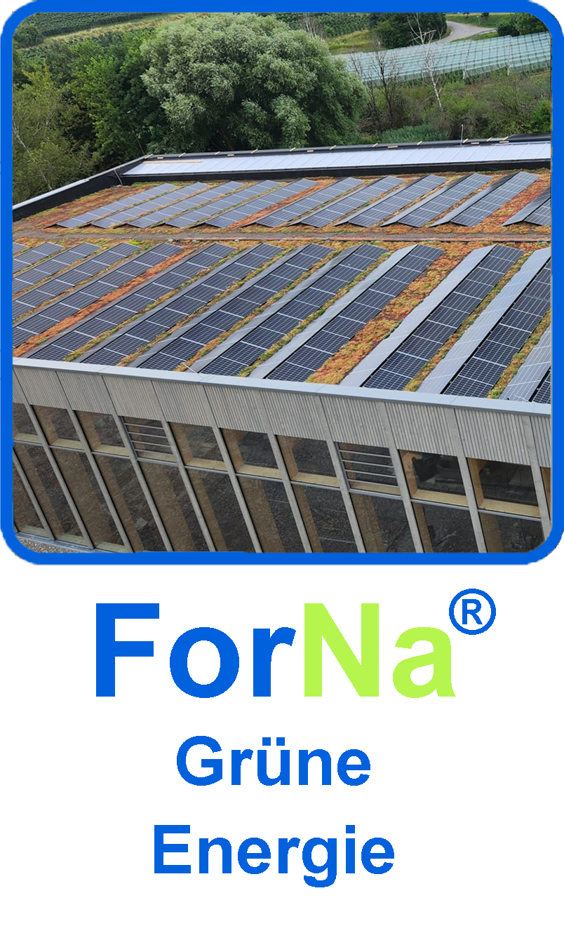 FORNATEC Grüne Energie