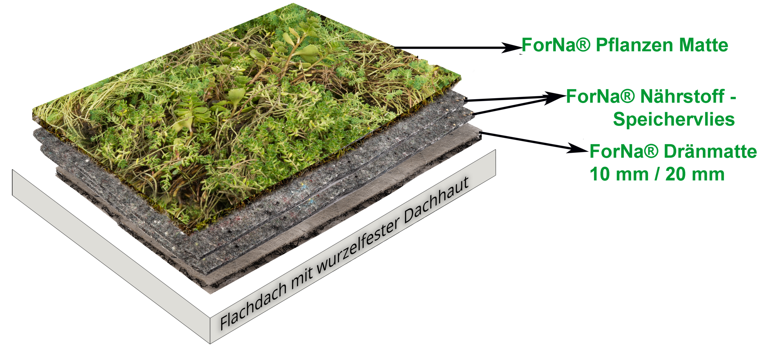 ForNa® facile System - leichte Dachbegrünung