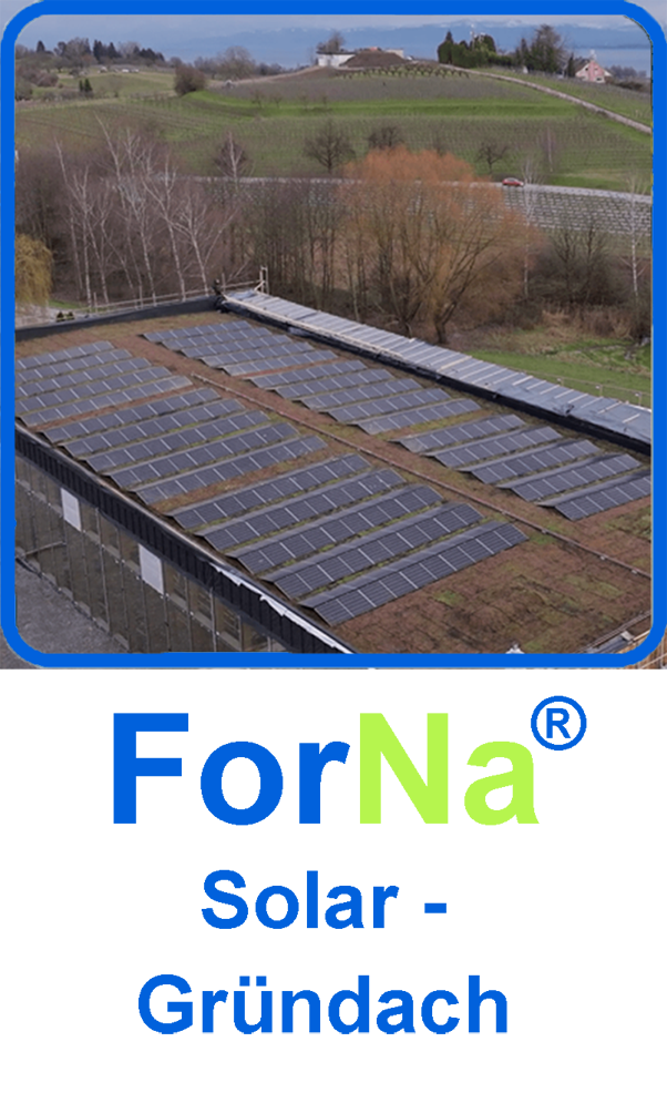 Kategorien Solar Gründach Fornatec® Green GmbH for nature technology
