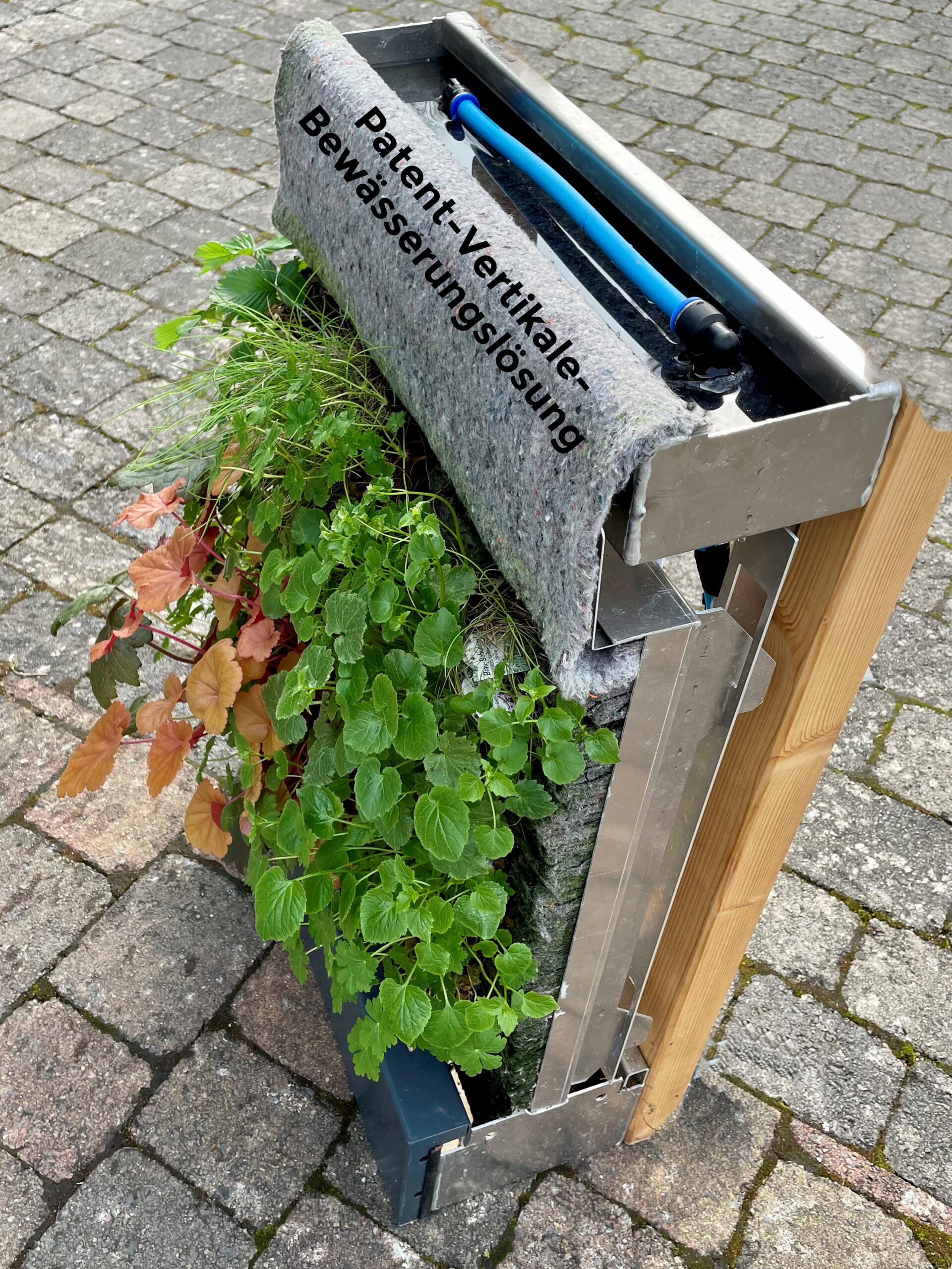Patene-Vertikale-Bewässerungslösung Produktmuster Gravit